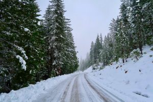 Snowy mountain road with pine trees