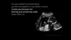 sonogram with Psalm 193:13-14 desktop wallpaper