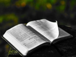 Bible open to psalms on picnic table